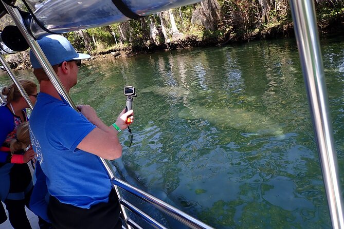 Crystal River Manatee Viewing Cruise - Why this cruise works for first-time manatee watchers