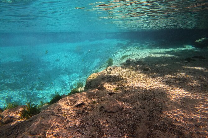 Crystal River: Semi-Private Manatee Swim Tour With Heated Boat - Why This Small Crystal River Tour Works So Well