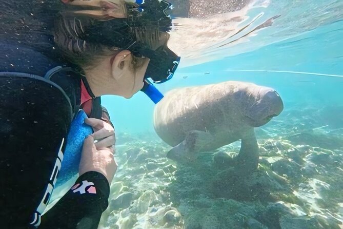 Crystal River: Semi-Private Manatee Swim Tour With Heated Boat - What Makes the Guides Valuable