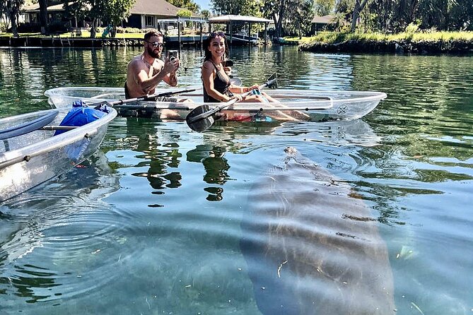 Crystal River Three Sisters Springs and Manatee Clear Kayak Tours - November to March: following the manatee season