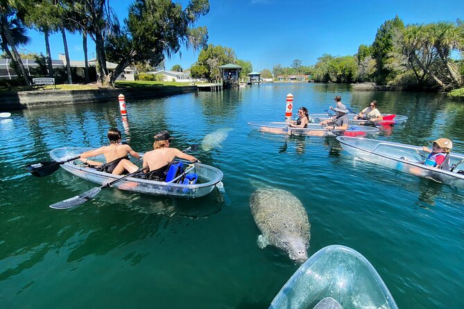 Crystal River Three Sisters Springs and Manatee Clear Kayak Tours - How difficult is the kayaking?