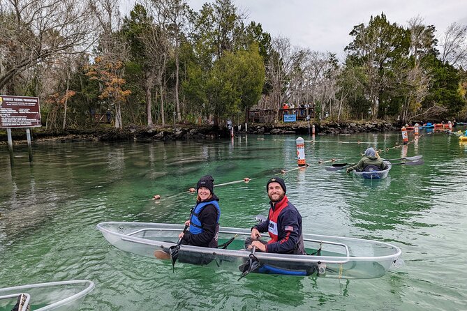 Crystal River Three Sisters Springs and Manatee Clear Kayak Tours - What the tour is worth