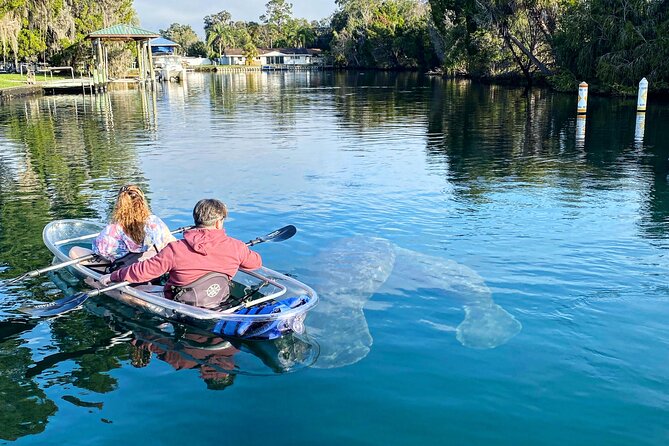 Crystal River Three Sisters Springs and Manatee Clear Kayak Tours - April to November: paddling to Three Sisters Springs