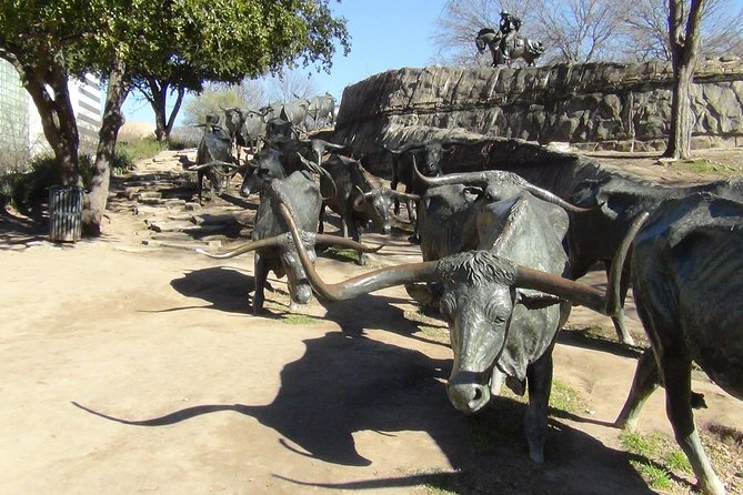 Dallas and Fort Worth City Sightseeing Tour Small-Group - What the guides add to the day