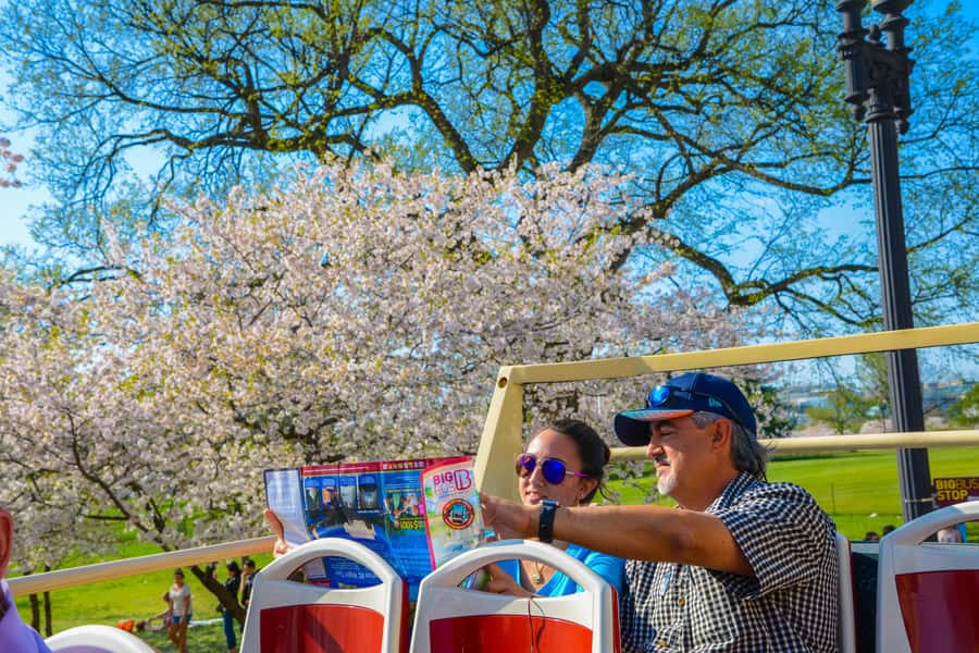 DC: Hop-on Hop-off Tour by Open-top Bus with 17 Stops - Who will get the most from this tour?