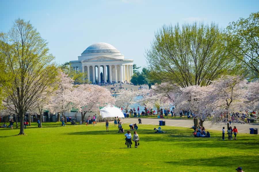 DC: Hop-on Hop-off Tour by Open-top Bus with 17 Stops - The National Mall loop, from the Washington Monument to Lincoln