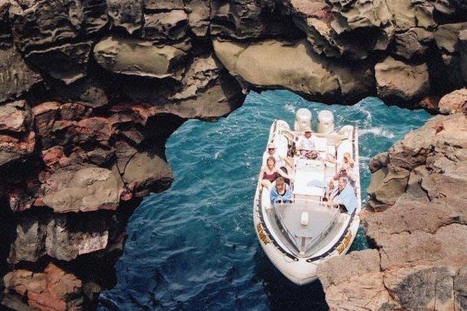 Deluxe Morning Snorkeling Adventure - Is this suitable for families and first-time snorkelers?