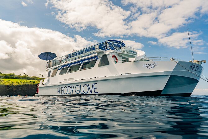 Deluxe Snorkel & Dolphin Watch Aboard a Luxury Catamaran from Kailua-Kona - Starting at Kailua Pier before the 8 a.m. cruise