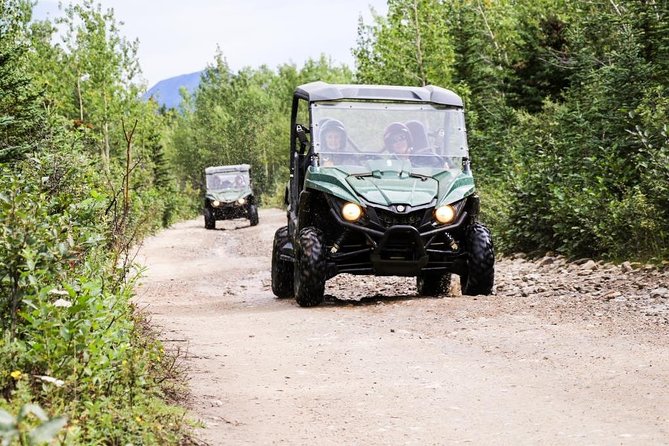 Denali ATV Trailblazer 3.5 Hour Tour - What the 3.5-hour Denali outing actually includes