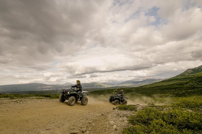 Denali ATV Trailblazer 3.5 Hour Tour - Is $192.99 a fair price?