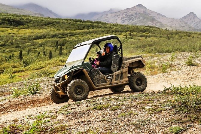 Denali ATV Trailblazer 3.5 Hour Tour - Who should book this ATV tour?