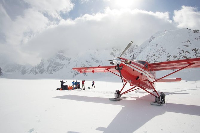 Denali Flyer Flightseeing Tour from Talkeetna - Why this Talkeetna flight is worth your time