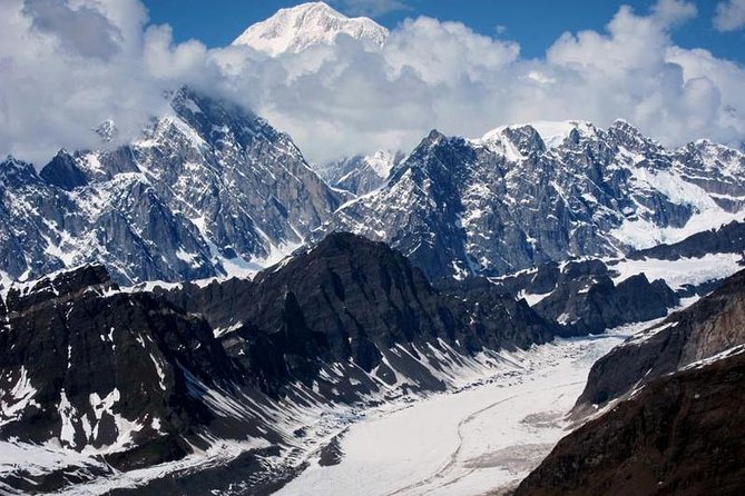 Denali Flyer Flightseeing Tour from Talkeetna - The standard 1.25-hour Denali flight