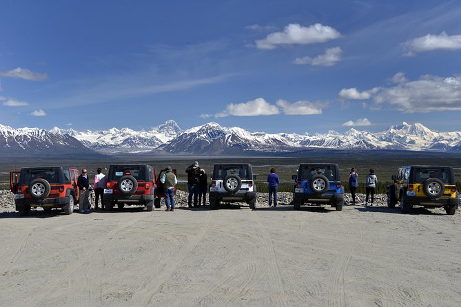 Denali Highway Jeep Excursion - Starting at Mile 238.6 near Denali