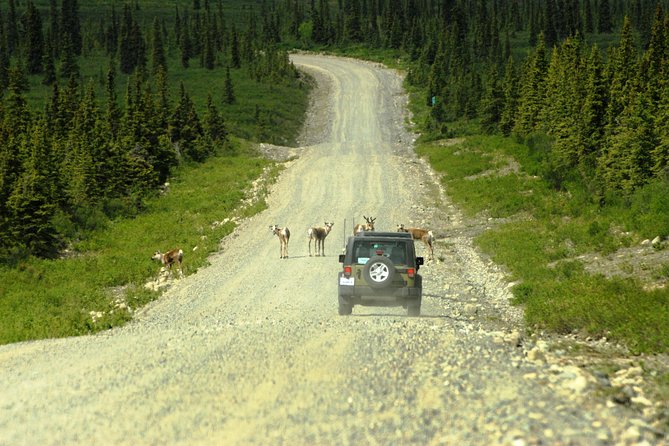 Denali Highway Jeep Excursion - Scenery along the Denali Highway