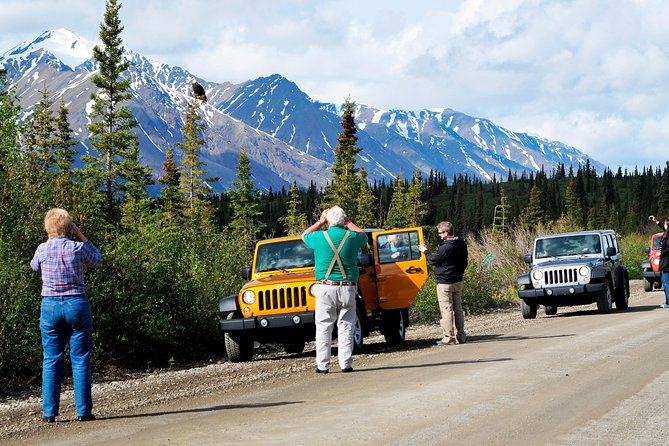 Denali Highway Jeep Excursion - Wildlife: keep your eyes open, but stay realistic