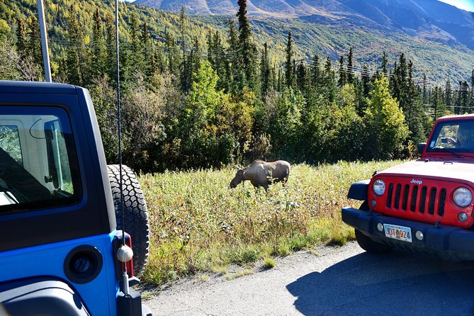 Denali Highway Jeep Excursion - The off-road promise, explained plainly