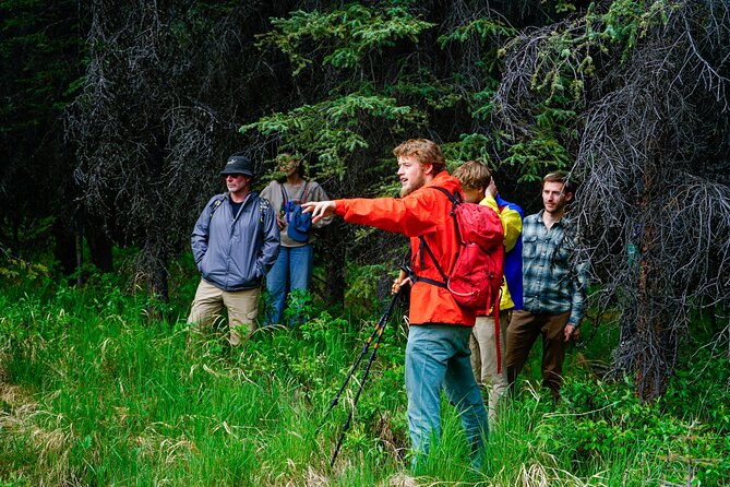 Denali Park Nature Walk (3 Hours) w/Expert Naturalist - Why walking Denali changes the experience