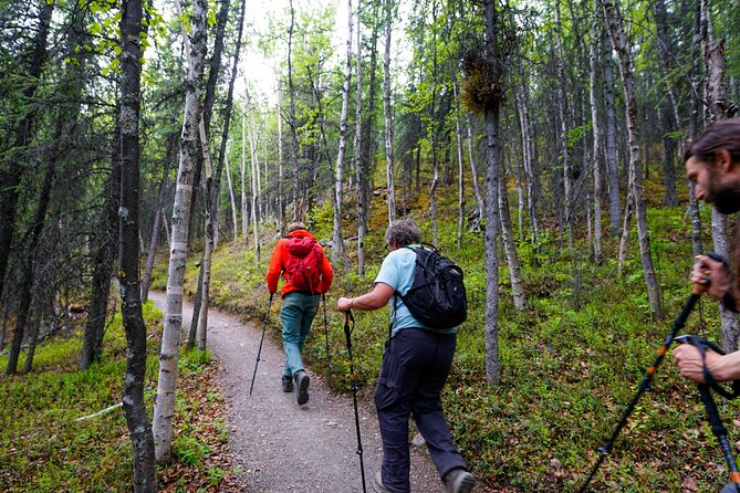 Denali Park Nature Walk (3 Hours) w/Expert Naturalist - Three hours in Denali’s boreal forest