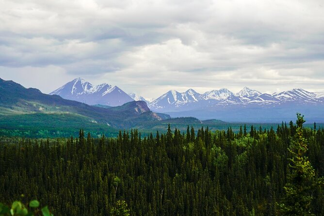 Denali Park Nature Walk (3 Hours) w/Expert Naturalist - The guides are a major part of the value