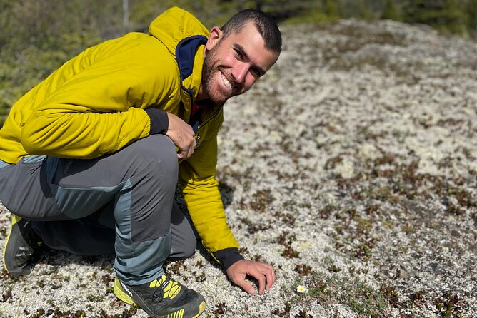 Denali Park Nature Walk (3 Hours) w/Expert Naturalist - Plants, berries, mushrooms, and the hidden story