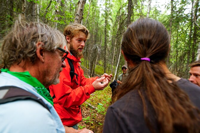 Denali Park Nature Walk (3 Hours) w/Expert Naturalist - Weather is part of the bargain
