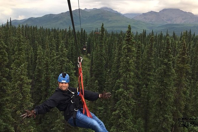 Denali Park Zipline Adventure - Views Of The Alaska Range And Forest