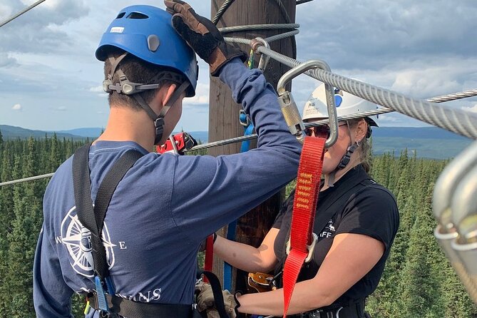 Denali Park Zipline Adventure - How Much Value Do You Get For $208.99?