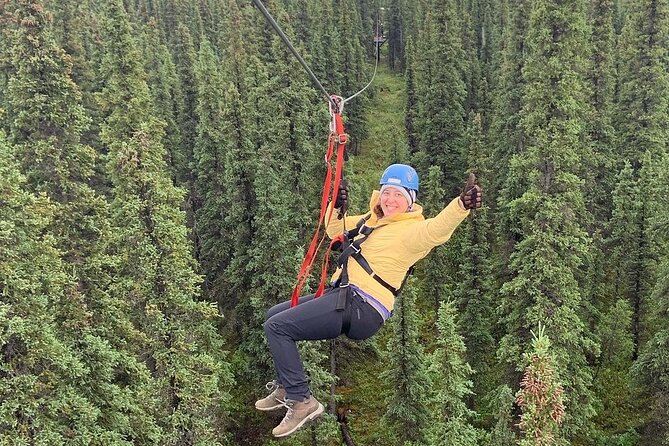 Denali Park Zipline Adventure - Who Will Enjoy This Most?