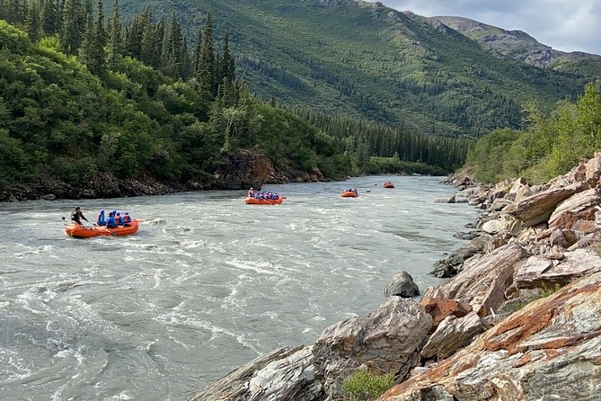 Denali Rafting Wilderness Wave - A good wildlife chance, with no promises