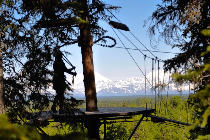 Denali Zipline Tour in Talkeetna, AK - Starting at 13790 East Second Street in Talkeetna