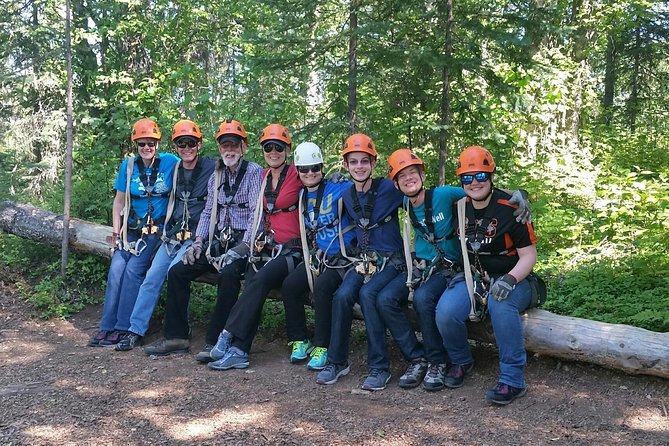 Denali Zipline Tour in Talkeetna, AK - Suspension bridges and a spiral staircase add variety