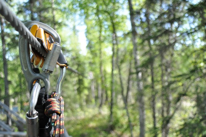 Denali Zipline Tour in Talkeetna, AK - The guides are a major part of the value