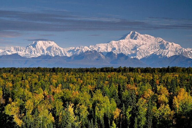 Denali Zipline Tour in Talkeetna, AK - Is $168.92 a fair price?