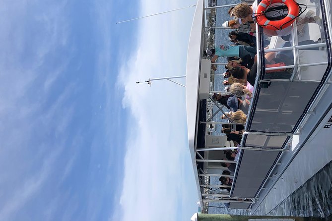 Destin Dolphin Cruise - More than dolphins: sharks, rays, and sea turtles