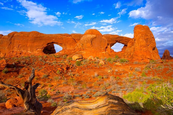 Discover The Best Of Moab In A Day: Arches Canyonlands Dead Horse - The Windows and Double Arch: the best short walks