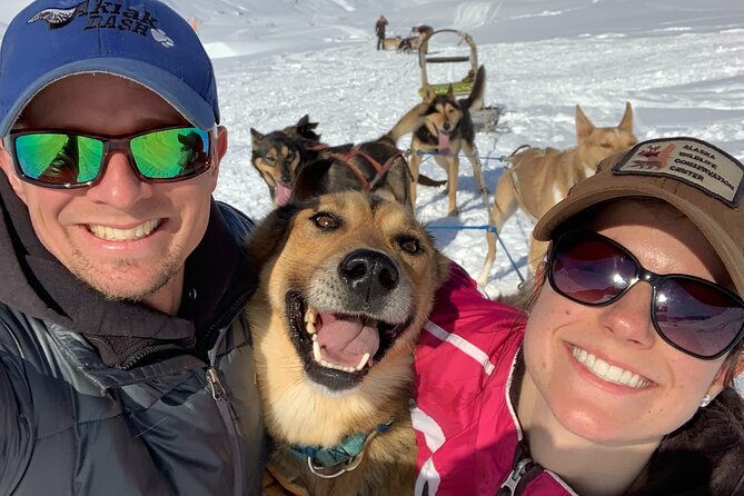 Dog Sledding Adventure in Willow, Alaska - Arriving at 18408 West Reynolds Road