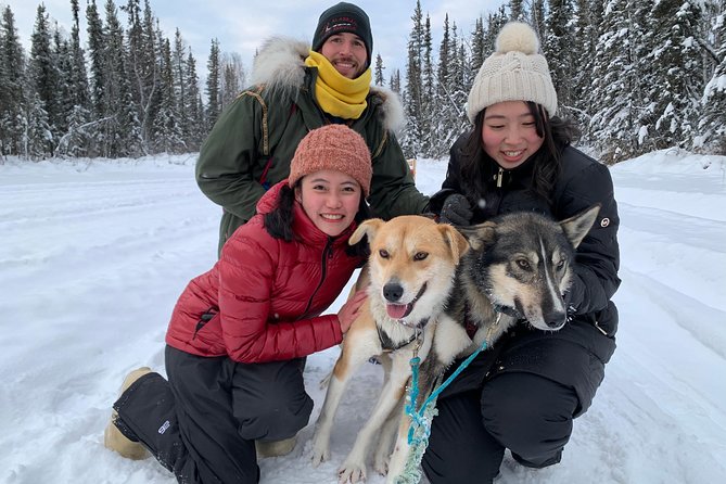Dog Sledding and Mushing Experience in North Pole - Key details to know before you go