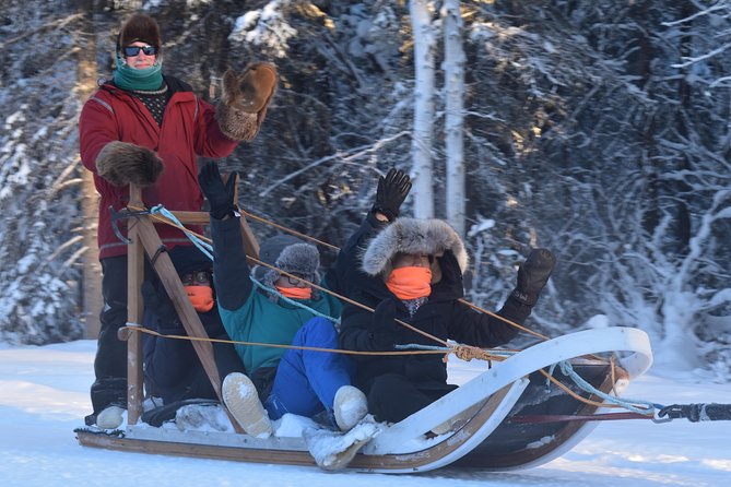 Dog Sledding and Mushing Experience in North Pole - Five miles by sled through North Pole snow