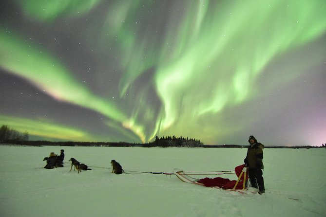 Dog Sledding and Mushing Experience in North Pole - Guides who make the short trip worthwhile