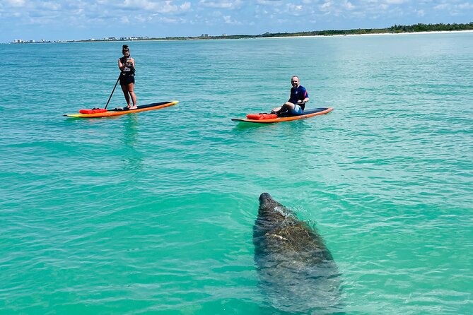 Dolphin and Manatee Adventure Tour of Fort Myers - Learning to paddle before wildlife watching