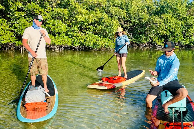 Dolphin and Manatee Adventure Tour of Fort Myers - The Fort Myers Beach stop