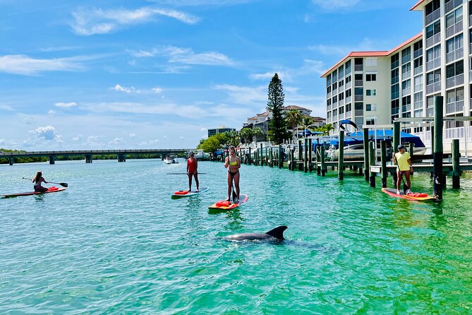 Dolphin and Manatee Adventure Tour of Fort Myers - How much value do you get for $65?