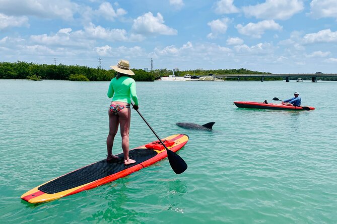 Dolphin and Manatee Adventure Tour of Fort Myers - Who will enjoy this paddleboard tour?