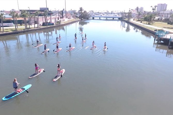 Dolphin and Manatee Stand Up Paddleboard Tour in Daytona Beach - How much value do you get for $65?