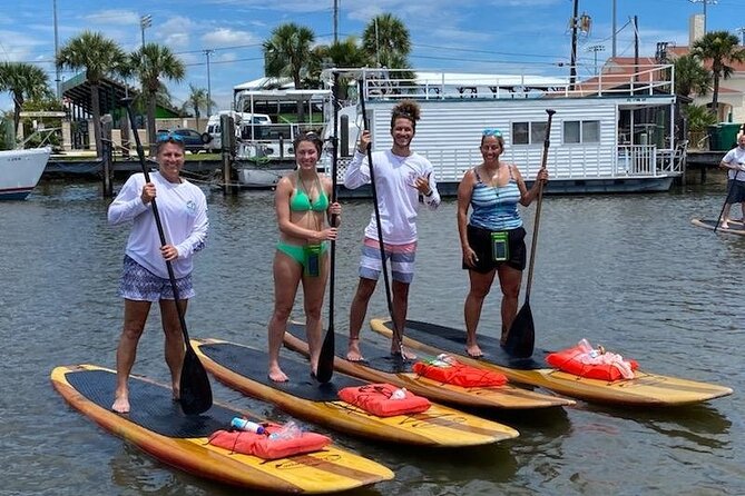 Dolphin and Manatee Stand Up Paddleboard Tour in Daytona Beach - The best match for families and first-time paddlers