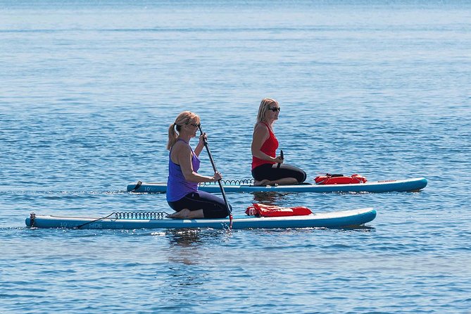 Dolphin and Manatee Stand Up Paddleboard Tour in Daytona Beach - Your first paddleboard lesson in the calm bay