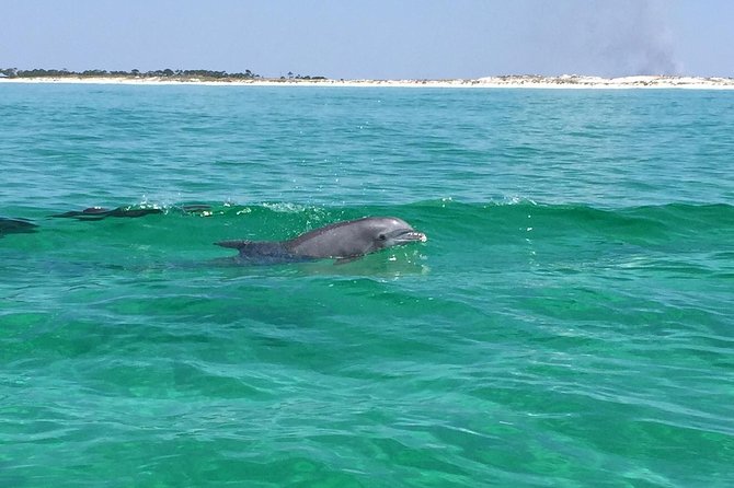 Dolphin Cruise in Destin FL - Reaching the Gulf of Mexico