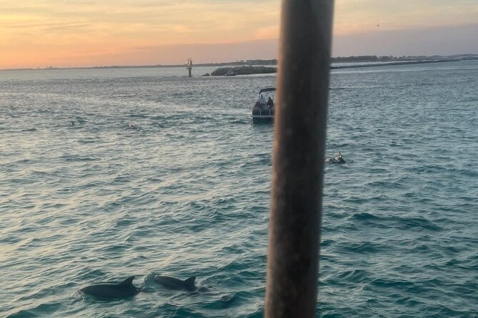 Dolphin & Sunset Cruises - Key points to know before you go