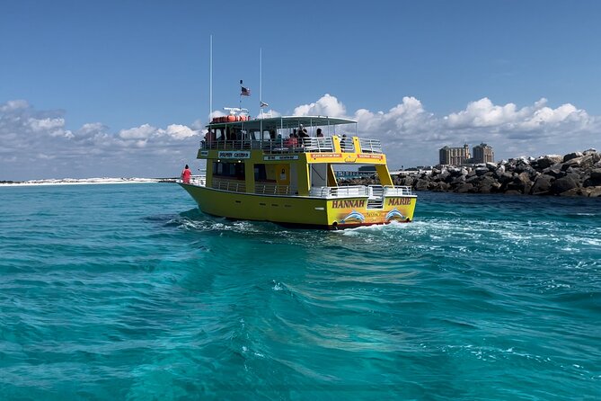 Dolphin & Sunset Cruises - Finding dolphins in their natural habitat